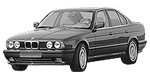 BMW E34 B217C Fault Code